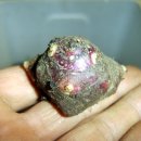 수호일농장 이미지