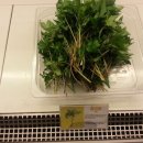 경희예가한의원 이미지