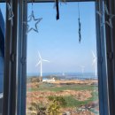 로맨스 파파 | 제주 신창풍차해안도로 근처숙소 로맨스파파 펜션 숙박후기