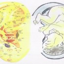 이혈요법 이미지