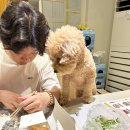 바베이드치킨 이미지