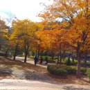 환호해맞이공원 이미지