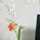 오유플랜트
