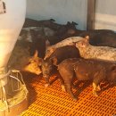 유겸농장 이미지