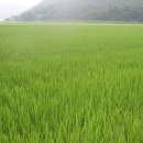 농가월령가 이미지