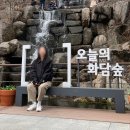 [서울근교] 화담숲 흐린날 교외 데이트 다녀온 후기 (입장시간 지각, 화담채, 3월 날씨, 포토스팟, 카페...