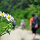 다함한의원 이미지