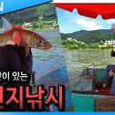낚시나라