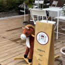 주정차 단속 - 074 | [청주] 충북도청 근처 주택개조카페 ☕ 디저트 맛있는 감성카페 발견