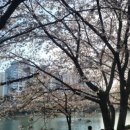 4공단로-34 이미지