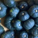 금메달농장 이미지