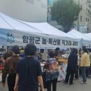 함평장터
