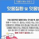 광주하트치과의원 이미지