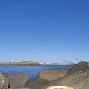 바다반점 이미지