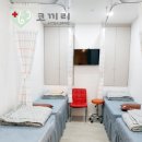 코끼리소아청소년과의원 이미지