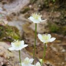 덕만농장 이미지