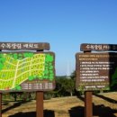 쌍계사수목장림 네이버블로그