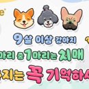 펫메이트 이미지