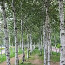 남양주 한강공원(삼패지구) (2025.08.23) 이미지