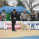 이즈하우스