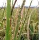 용안농약사 이미지