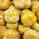 감은골 농장 이미지