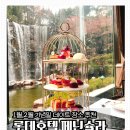 1월 2월 기념일 데이트 추천 롯데호텔서울 페닌슐라 라운지바 딸기디저트 창가석 후기