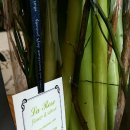 칼라헤어샵 이미지