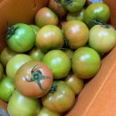 두배로농장 이미지