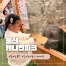 동산에너지 | 아이와 가기 좋은 울산 캐니언파크 실내놀이동산 &amp; 동물원 후기