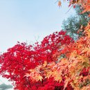 보발재 정상 주차장 이미지