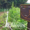 성읍리-6 이미지