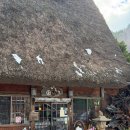 미니케이크샵 minicake.shop(작은케이크가게) | [나고야 여행 3일차] 시라카와고 버스 티켓 교환 | 시라카와고 쓰리하우스 | 시라카와고 맛집