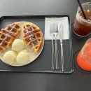 카페 비브라 크로플&amp; 음료 후기