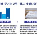 상동531-1 이미지