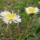 구덕초등학교 이미지