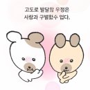 상아동물병원 | 2026.07