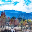 청계산수변공원 이미지