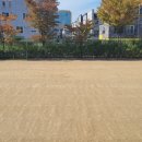 대운초등학교 이미지