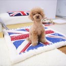 24아프리카동물메디컬센터 이미지