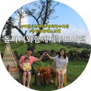 뚱's 까까 | 2018년 - 돌아기와함께제주도여행 1일차 - 아침미소목장, 함덕해수욕장, 유탑유블레스호텔.