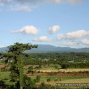 노을과포도향기 이미지