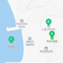 보노보노민박 이미지