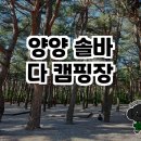 양양 솔바다 캠핑장, 자연과 함께하는 힐링 캠핑