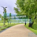 수영강자전거도로 세월교 아래쪽(야외운동시설) | 부산 화명생태공원 자전거 &amp; 산책하기 좋은 부산 여행 코스 추천