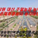 의창-대산-5-비-2 | #창원대산주말농장농막농촌체류형쉼터농지대장농업경영체 조합원 농지연금용농지