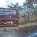 미숭산자연휴양림 이미지