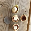 개암농장 이미지