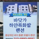 바닷가 하얀목화밭 이미지