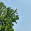 백석읍사무소 이미지